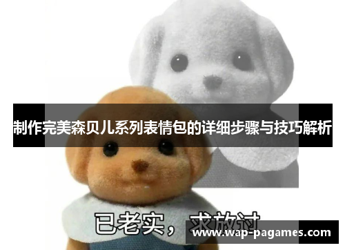 制作完美森贝儿系列表情包的详细步骤与技巧解析