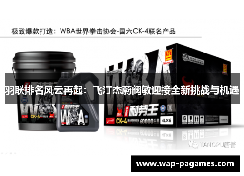 羽联排名风云再起：飞汀杰蔚阀敏迎接全新挑战与机遇