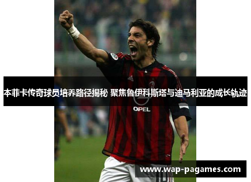本菲卡传奇球员培养路径揭秘 聚焦鲁伊科斯塔与迪马利亚的成长轨迹