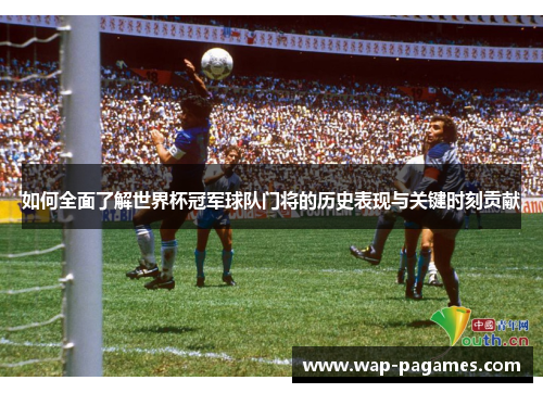 如何全面了解世界杯冠军球队门将的历史表现与关键时刻贡献