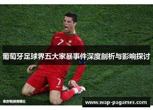 葡萄牙足球界五大家暴事件深度剖析与影响探讨