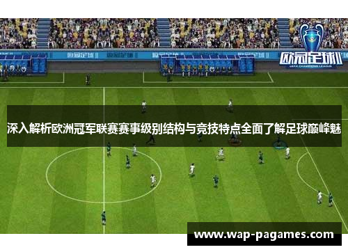 深入解析欧洲冠军联赛赛事级别结构与竞技特点全面了解足球巅峰魅