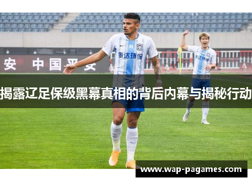 揭露辽足保级黑幕真相的背后内幕与揭秘行动 揭露辽足保级黑幕真相的背后内幕与揭秘行动