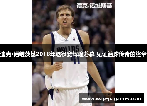 迪克·诺维茨基2018年退役赛辉煌落幕 见证篮球传奇的终章 迪克·诺维茨基2018年退役赛辉煌落幕 见证篮球传奇的终章