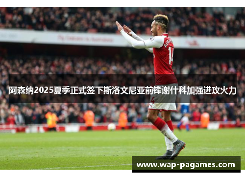 阿森纳2025夏季正式签下斯洛文尼亚前锋谢什科加强进攻火力 阿森纳2025夏季正式签下斯洛文尼亚前锋谢什科加强进攻火力
