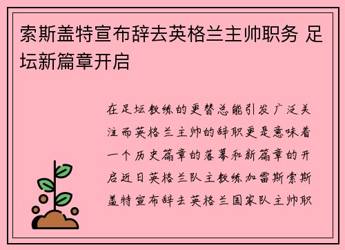 索斯盖特宣布辞去英格兰主帅职务 足坛新篇章开启